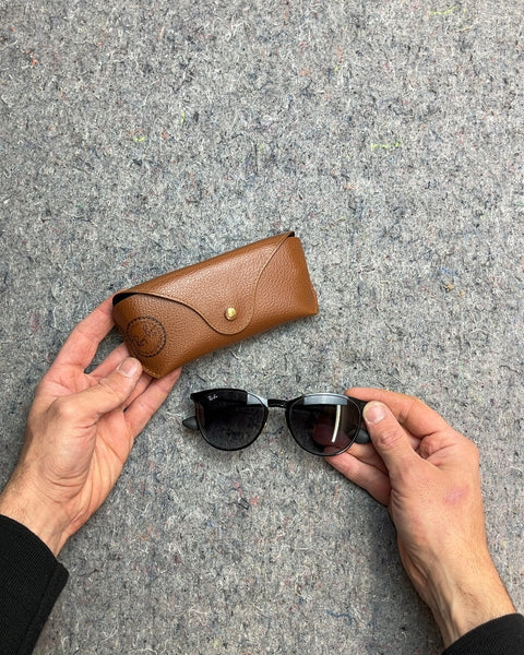 Ray-Ban Erika Metal Sunglasses with Brown Case