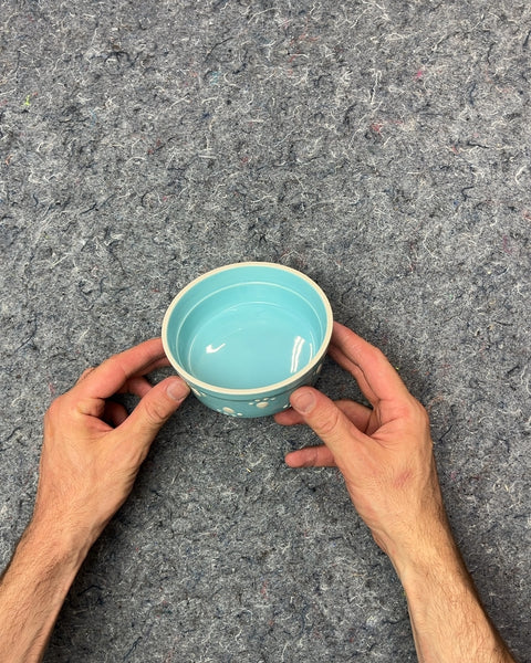 PetRageous Designs Blue Cat Bowl