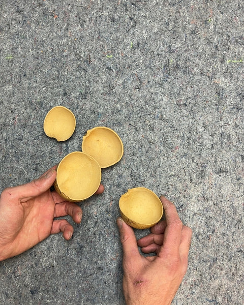 Bael Fruit Shells To Make A DIY Instrument