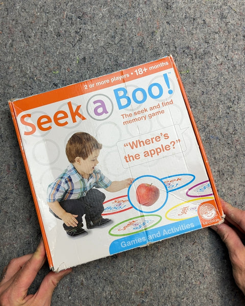 Seek a Boo! The Seek and Find Memory Game