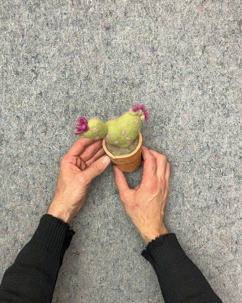 Felt Cactus in Terracotta Pot