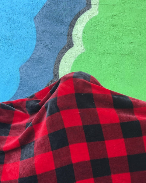 Red and Black Buffalo Plaid Fleece Blanket For A Movie Night In The Park