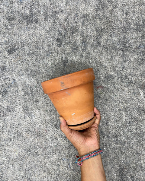 Terracotta Plant Pot with Saucer, 6.25”