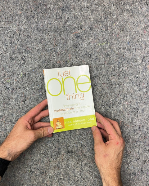 Just One Thing by Rick Hanson
