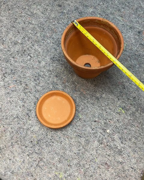 Terracotta Plant Pot with Saucer