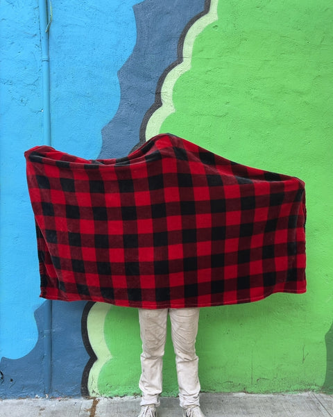 Red and Black Buffalo Plaid Fleece Blanket For A Movie Night In The Park
