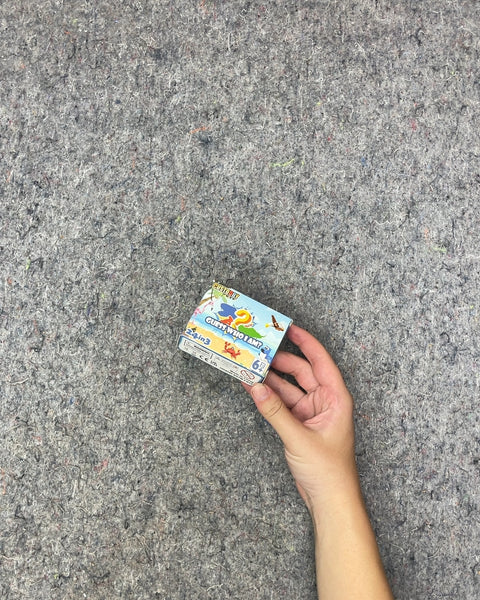 Guess Who I Am 2-in-1 Card Game