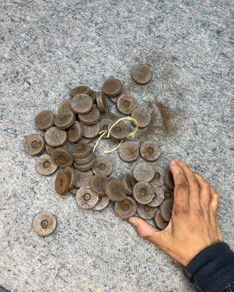 Seed Starting Peat Pellets