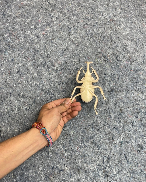 Large Beetle Insect Figurine