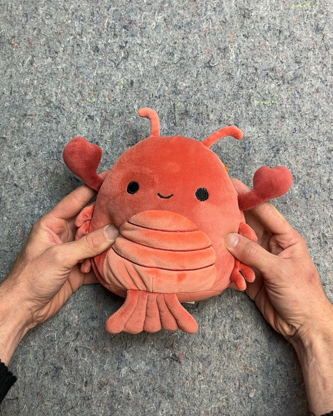 Squishmallows Kellytoy Lorono the Lobster
