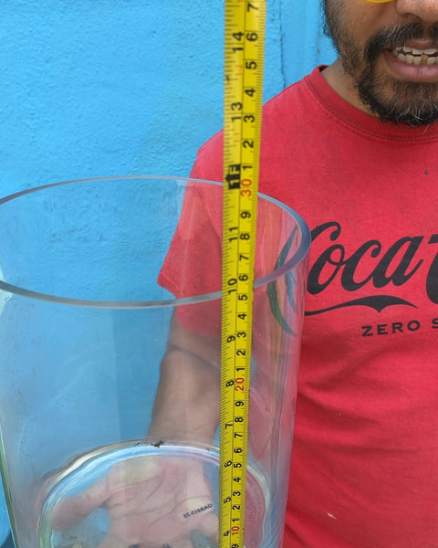 Bigass Clear Glass Cylinder Vase, H10"