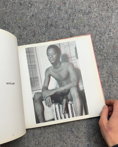 The Big Penis Book (3D!) by Dian Hanson