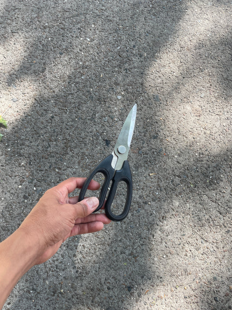 Proper KitchenAid Scissors