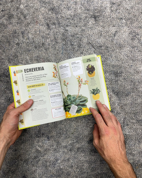How Not to Kill Your Houseplant by Veronica Peerless