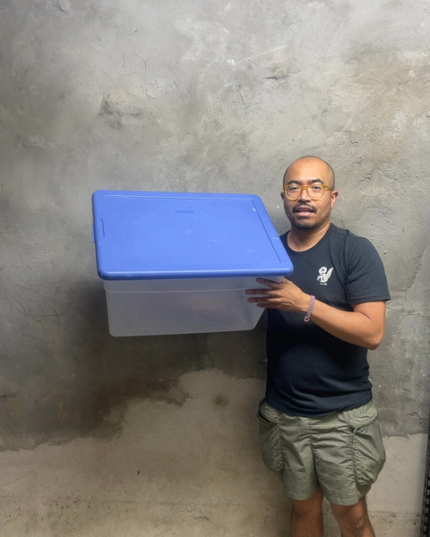 Sterilite Blue Plastic Storage Bin, 16x14x12"