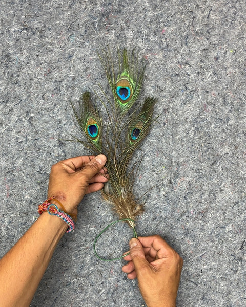 Peacock Feathers with Green Wire