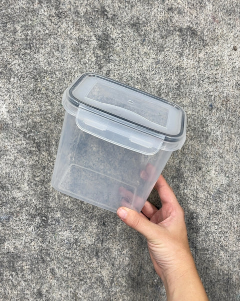 Clear Plastic Food Storage Container, 6 x 4 x 6 in