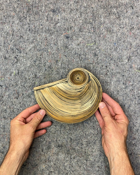 Spiral Wood Tray That Looks Like A Shell