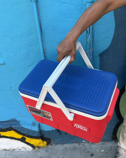Brand New Igloo Picnic Basket Family Cooler, 36Qt