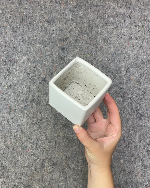 White Ceramic Square Planter, 3 in