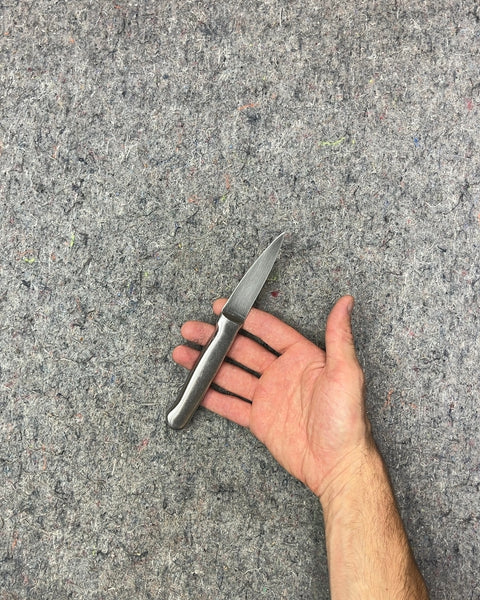 Stainless Steel Paring Knife