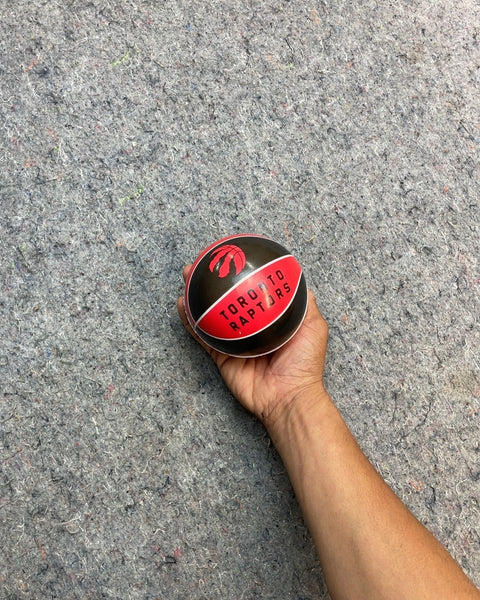Toronto Raptors Mini Basketball