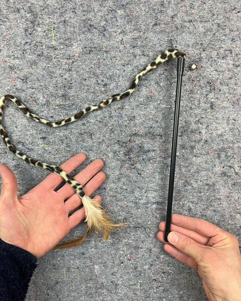 Cat Wand Toy with Feathers