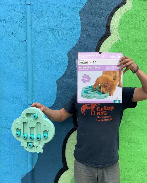Nina Ottosson Puppy Hide n' Slide Treats Puzzle