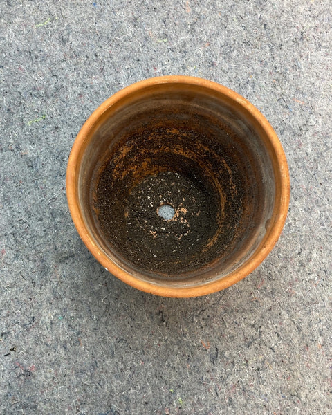 Medium Terracotta Planter, 7"