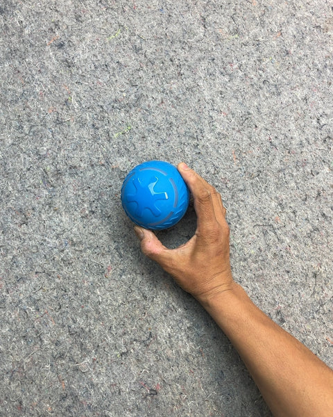 Blue Pet Treat Dispensing Ball