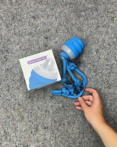 Smart Dog Toy (Batteries Needed)
