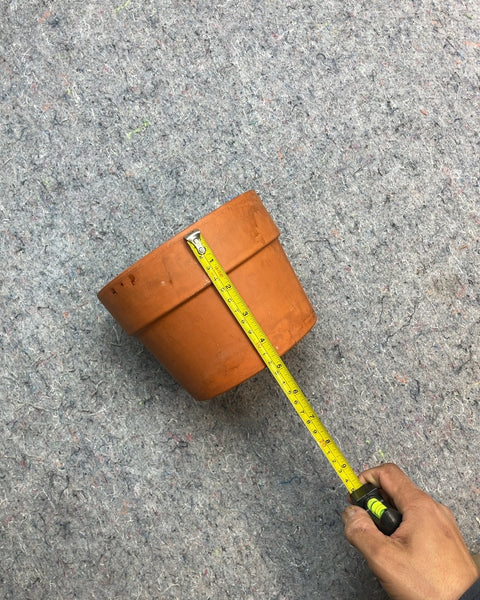 Terracotta Clay Plant Pot, YxY"