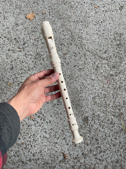 Lyons Recorder