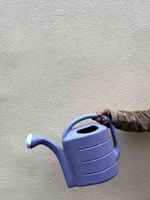 A $1 Watering Can