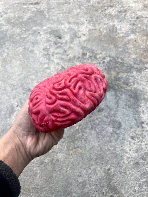 A Brain