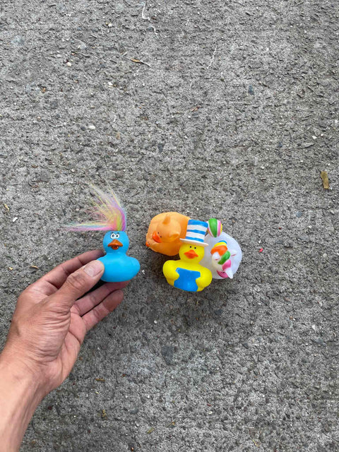 A Family of Rubber Duckies