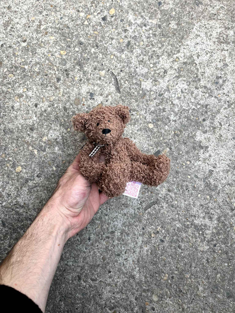 A Lil' Brown Bear That Looks Content