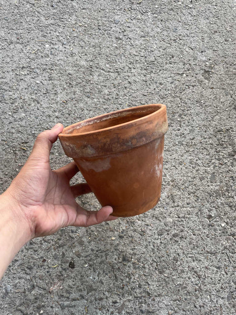 A Lone Classic Terracotta Pot