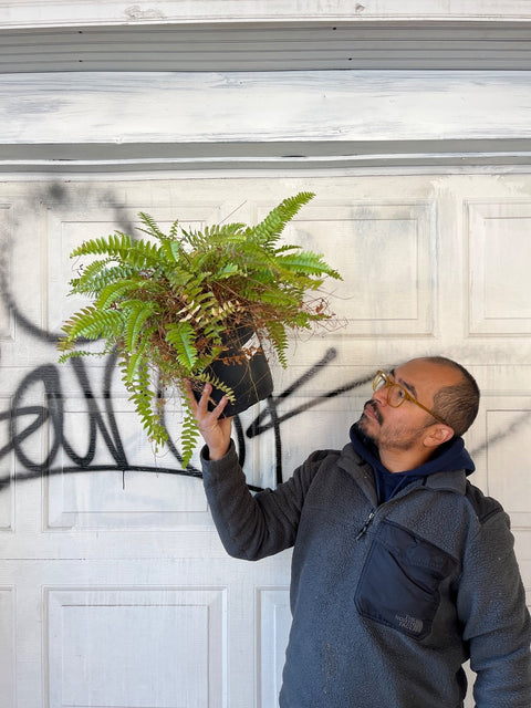 A Real Plant 2
