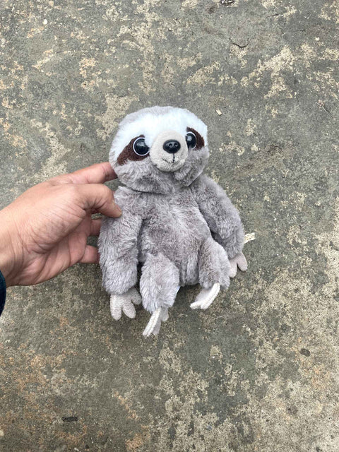 A Sloth