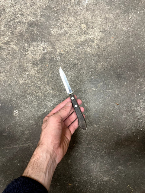 A Smaller Kitchen Knife For The Garlic