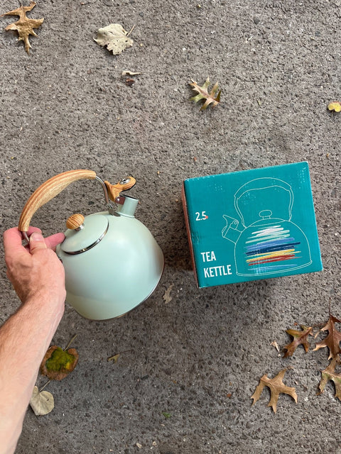 A Very Chic Turquoise Tea Kettle