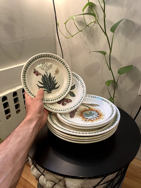 A Very Pretty Set Of Botanical Plates