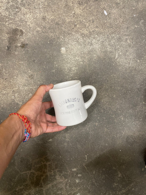 Adirondacks New York State Mug