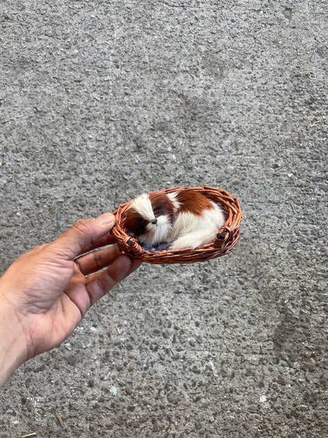 Adorable Miniature Pet in Basket