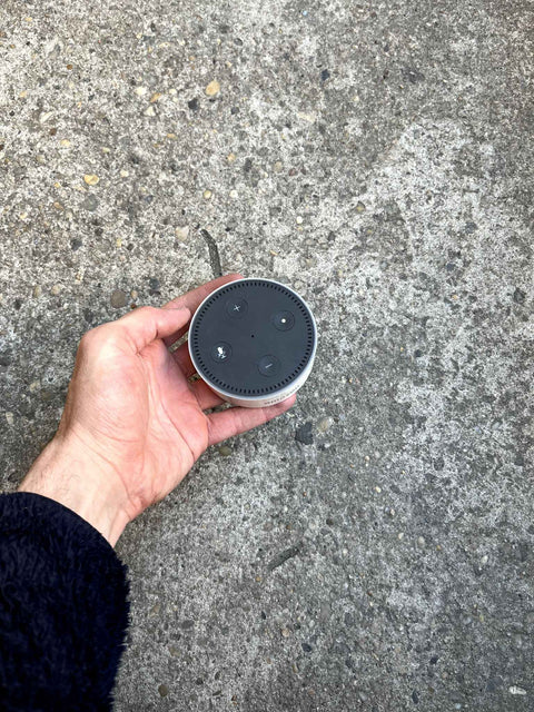 Alexa Echo