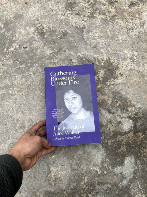 Alice Walker's Gathering Blossoms Under Fire