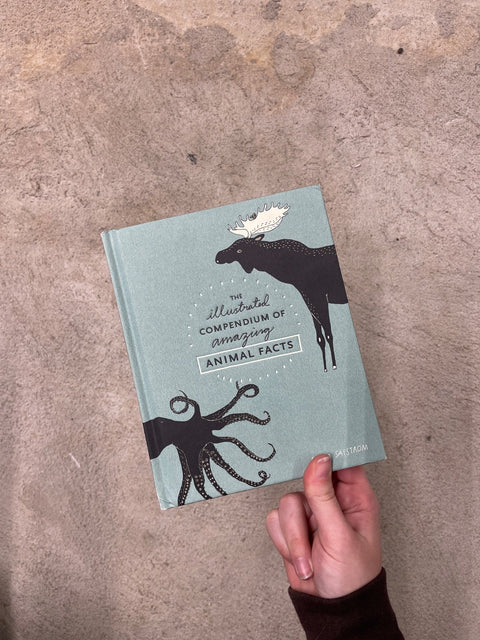 Amazing Animal Facts Compendium