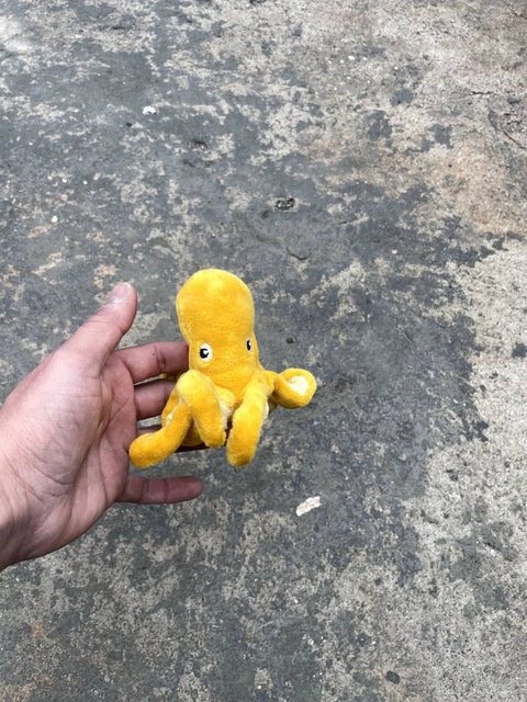 An Octopus That Fits in Your Hand