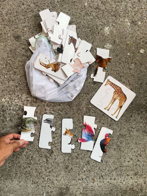 Animal Picture Puzzle